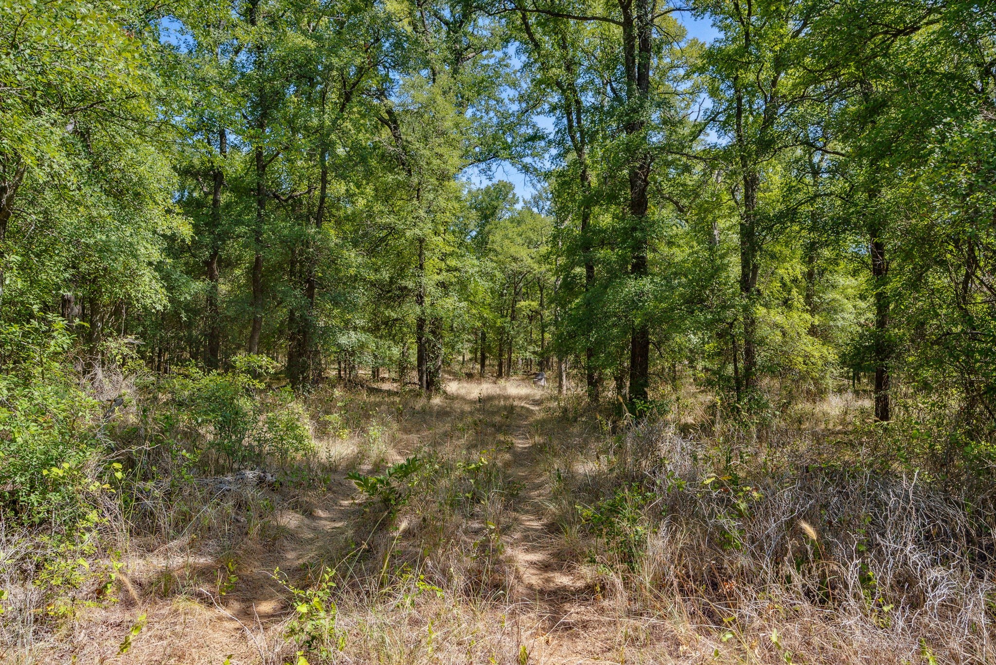 Tbd Armstrong Lane Bryson TX 76427