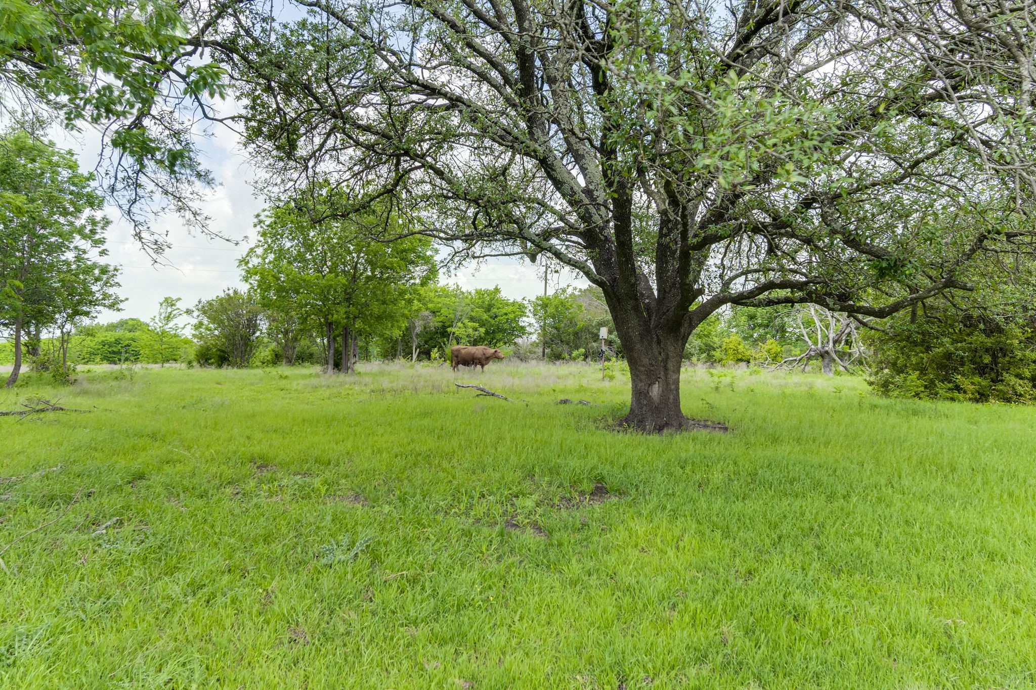 501 Ovilla Road Waxahachie TX 75167
