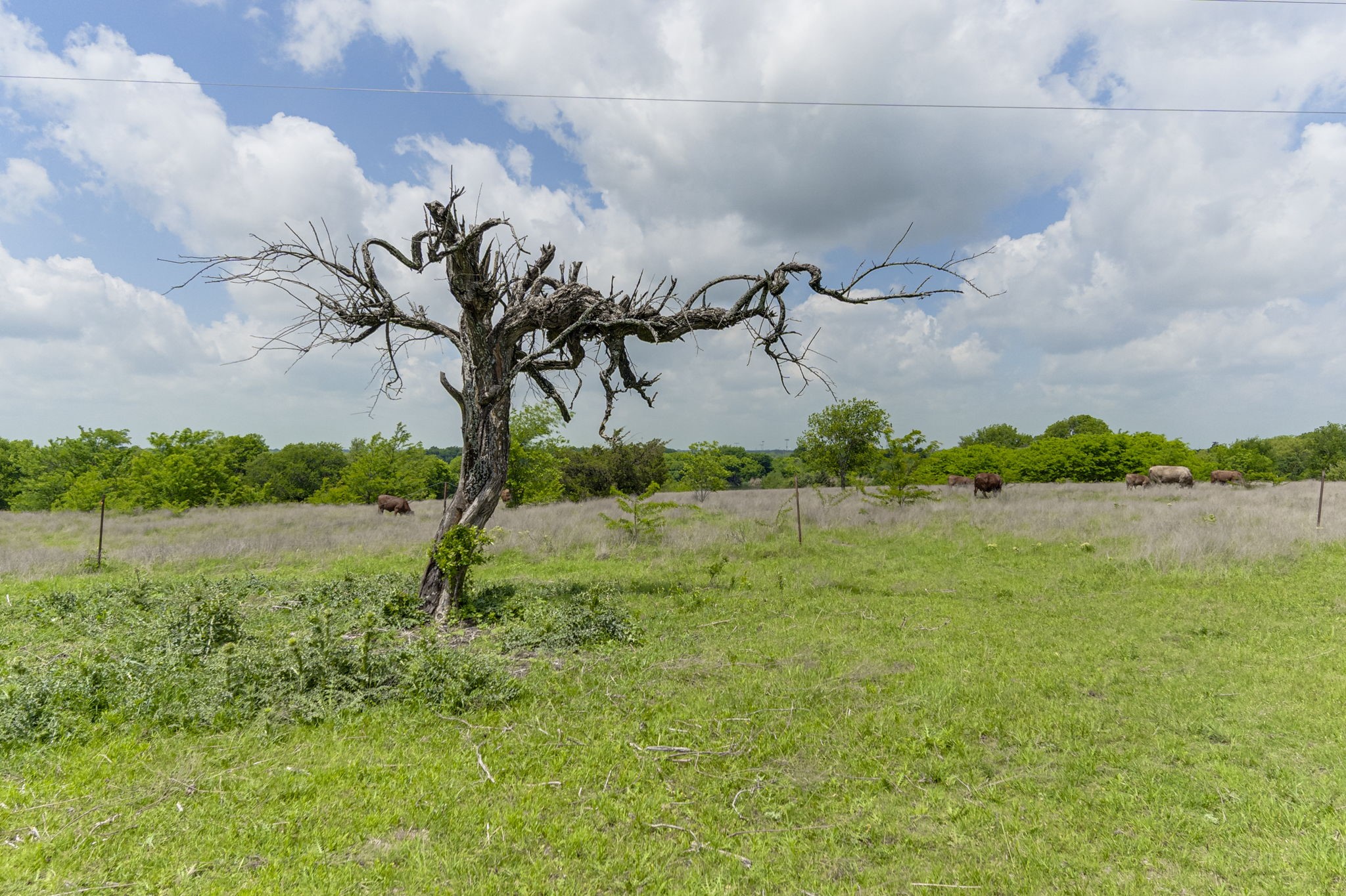 501 Ovilla Road Waxahachie TX 75167