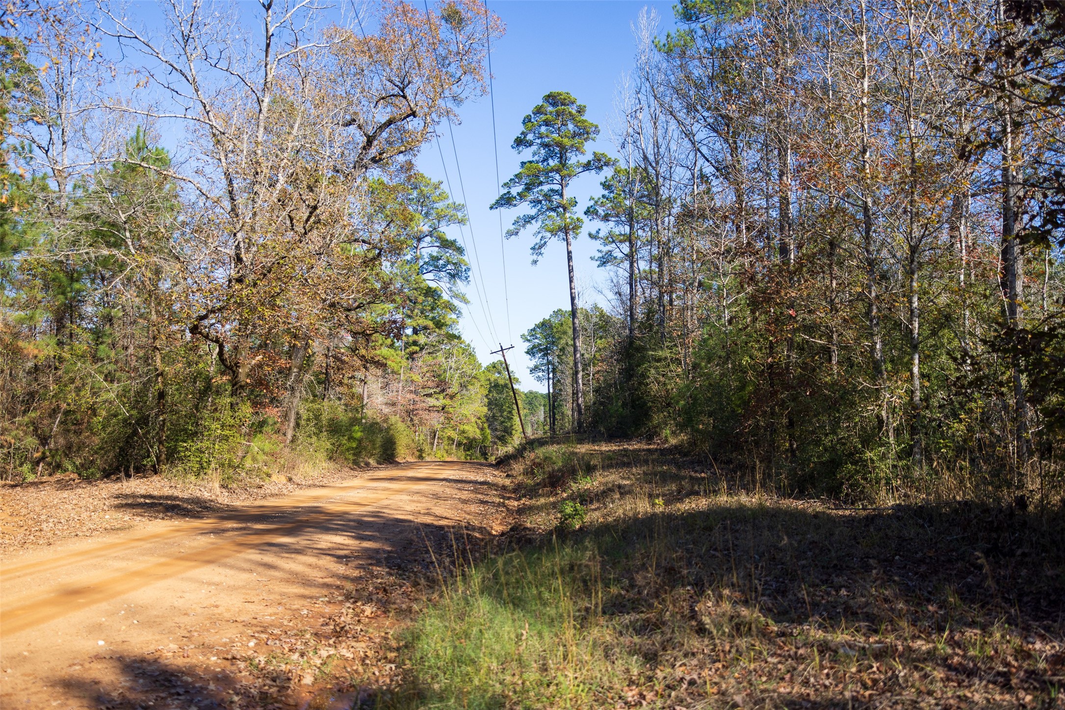 00 County Road 1135 Kennard TX 75835