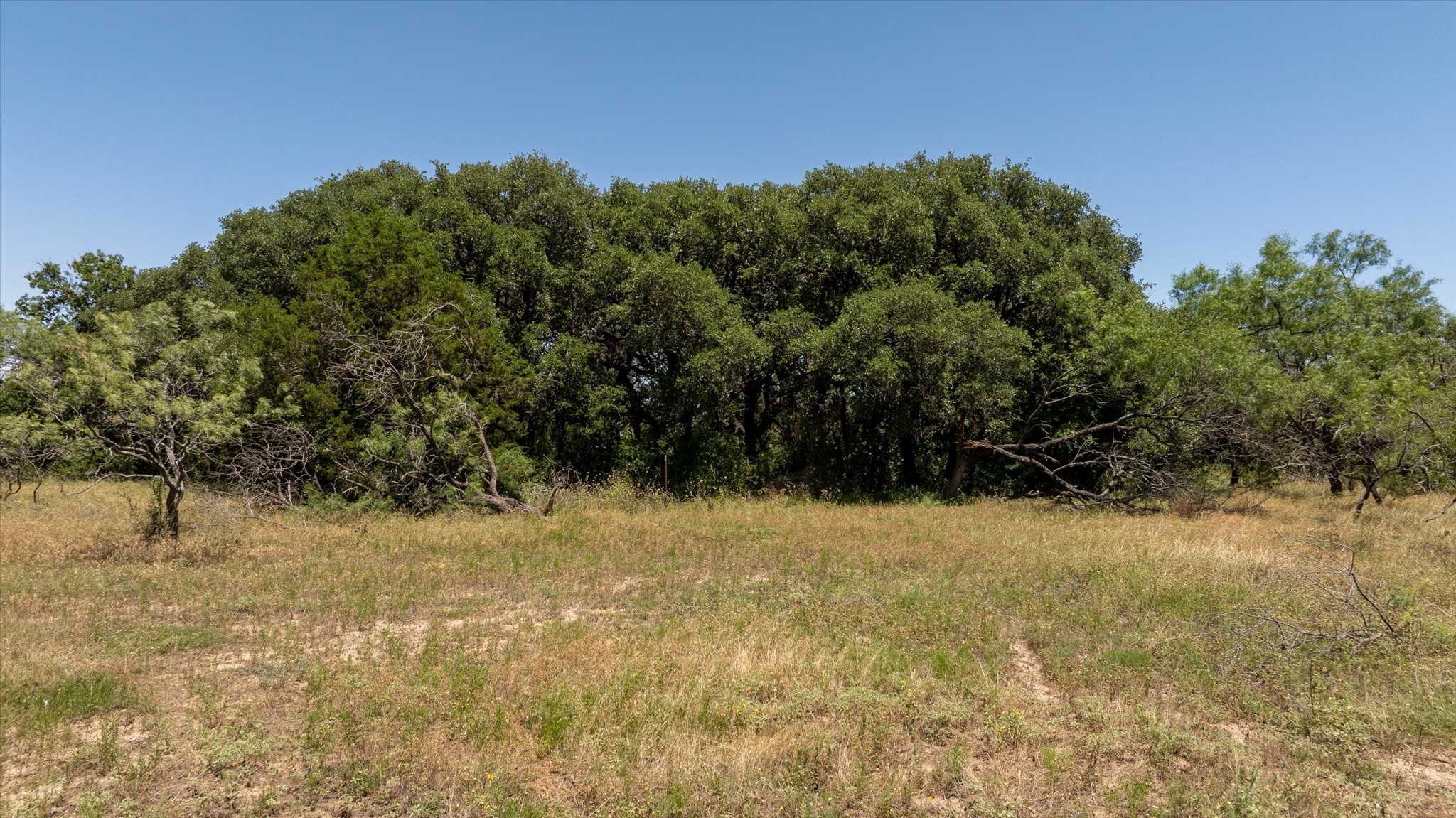 Tbd Cr 386 Carlton TX 76436