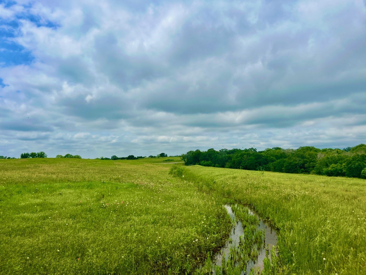 Lot 11 Clare Road Poolville TX 76487
