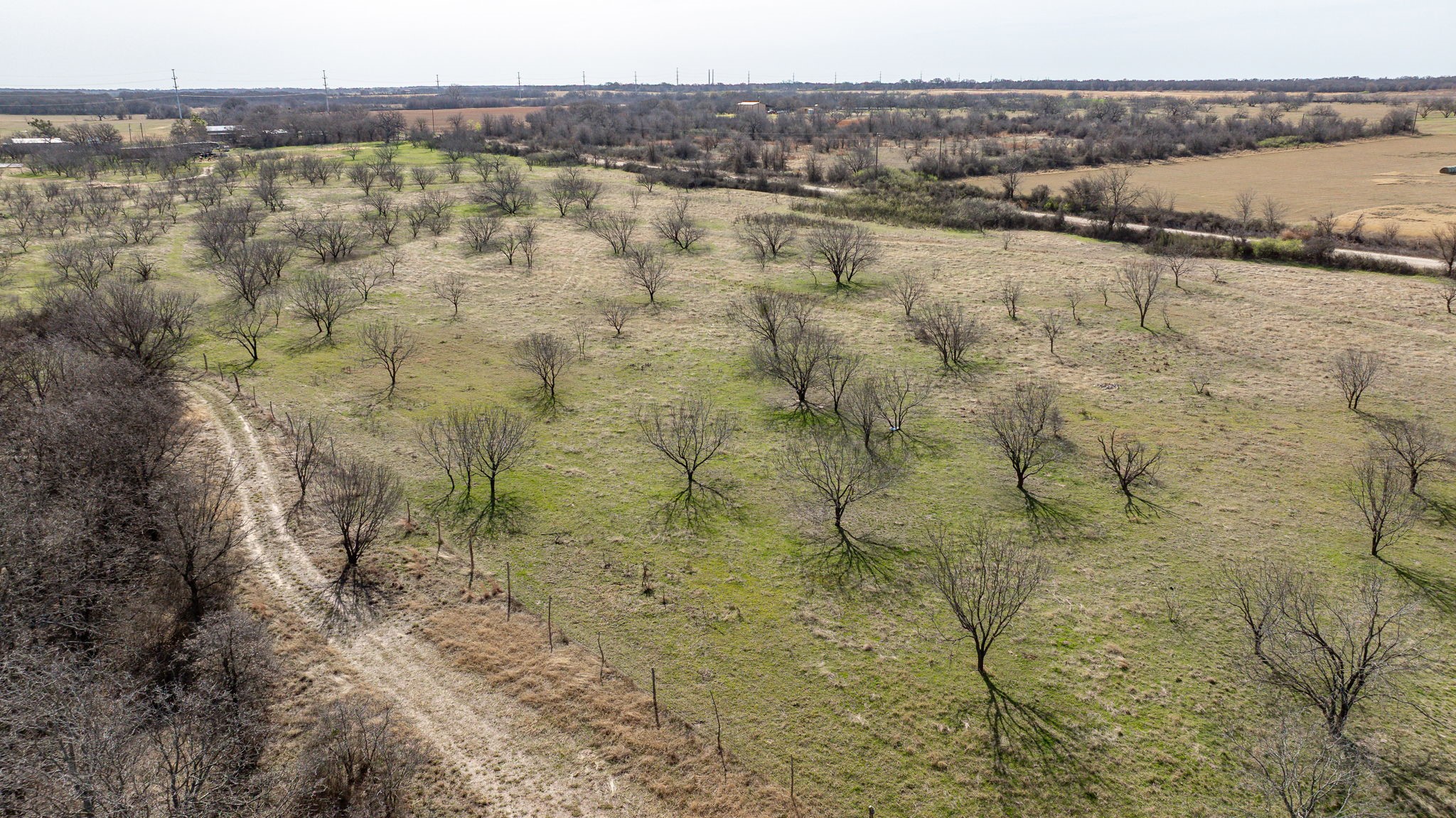 Tbd Co 379 Road Rising Star TX 76435