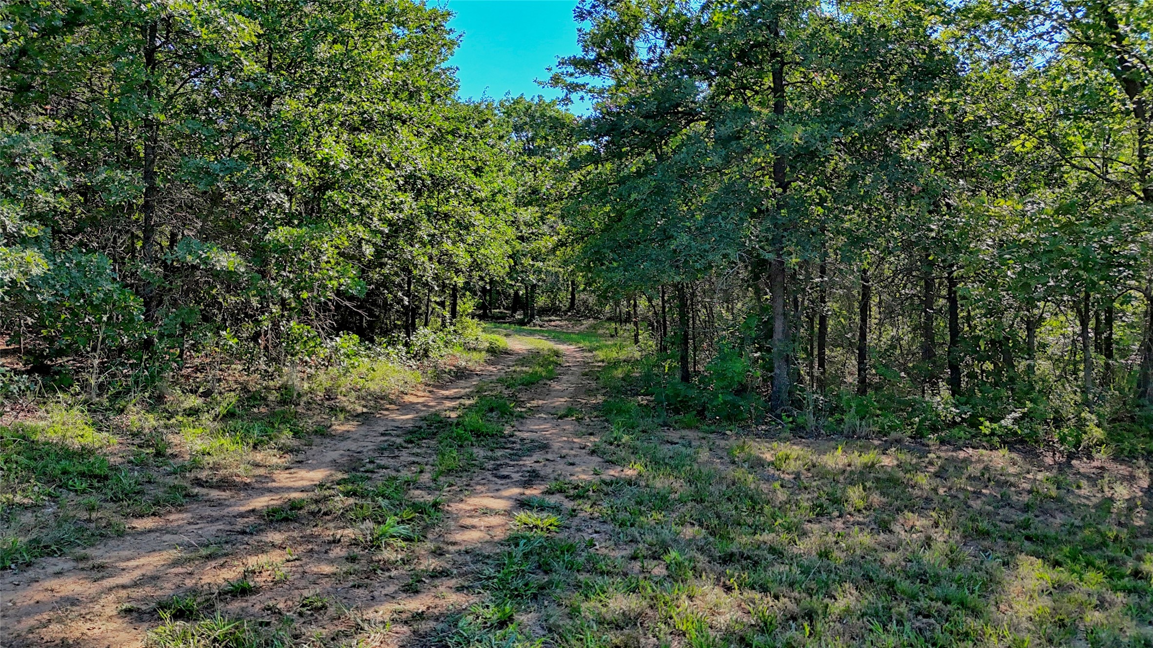 000 Pr 460 Nocona TX 76255