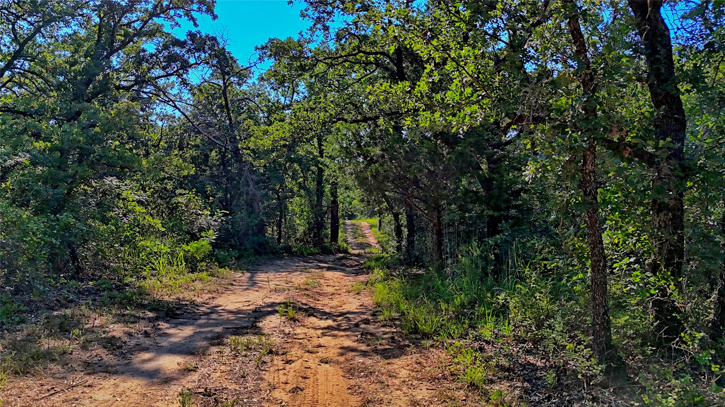 000 Pr 460 Nocona TX 76255