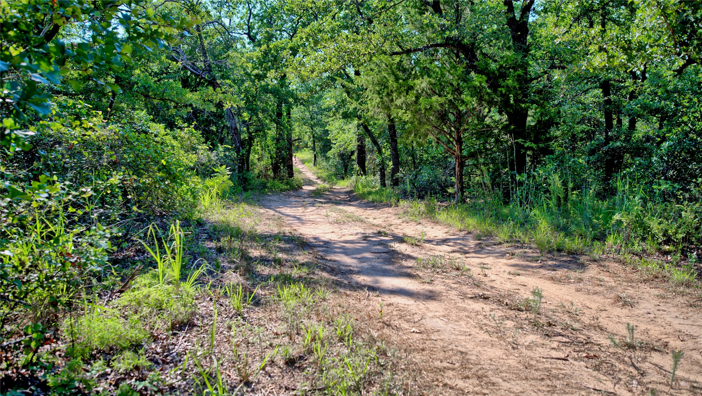 000 Pr 460 Nocona TX 76255