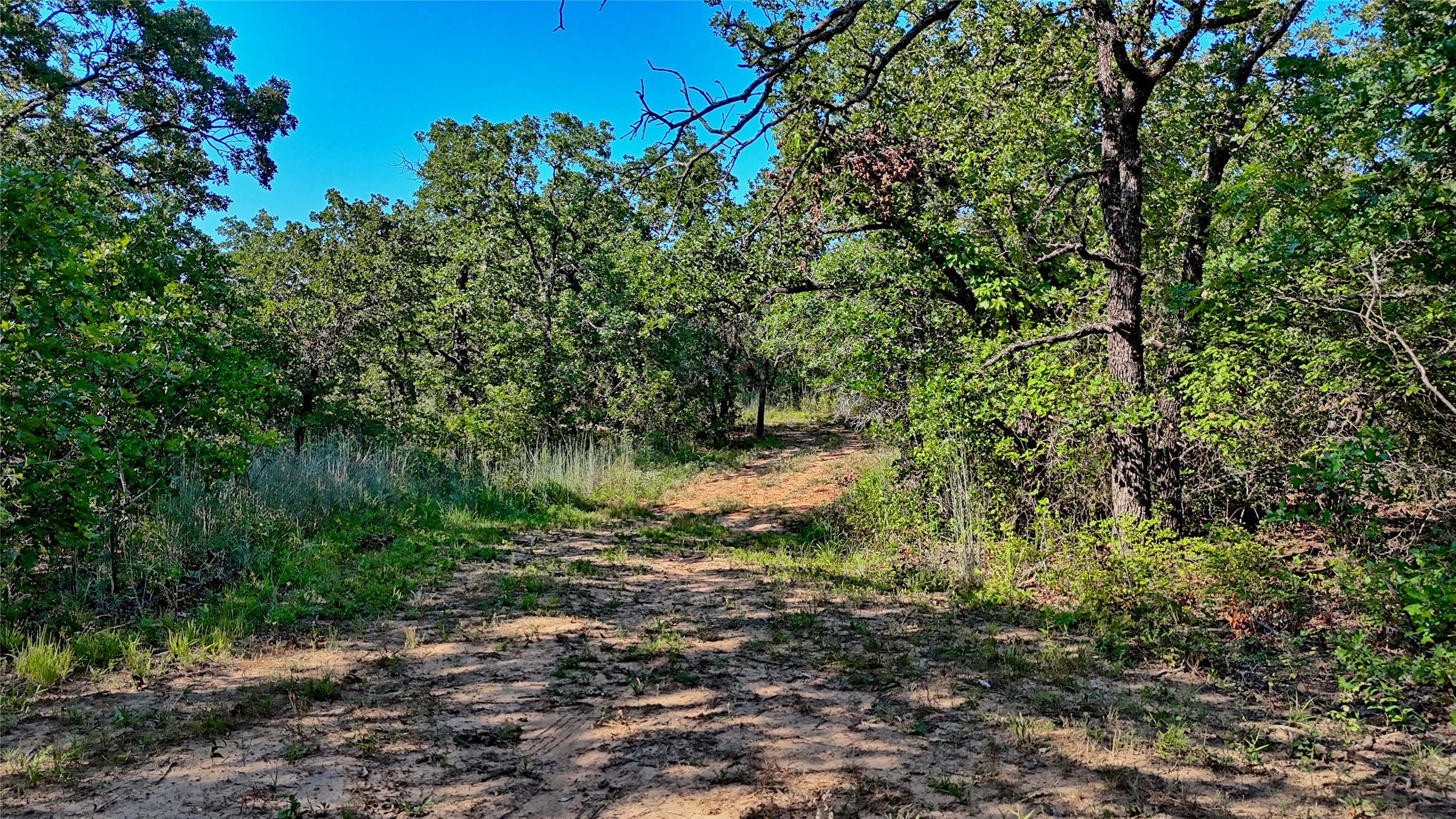 000 Pr 460 Nocona TX 76255