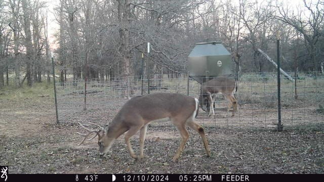 Tbt Fm 175 Jacksboro TX 76458