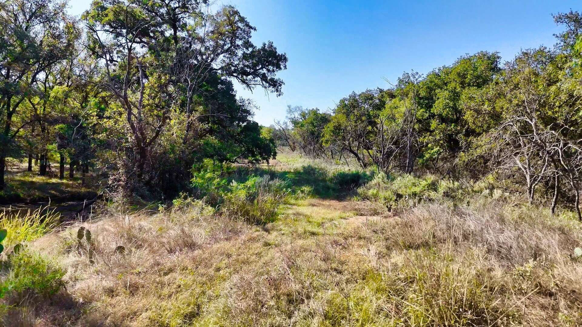 Tbt Fm 175 Jacksboro TX 76458