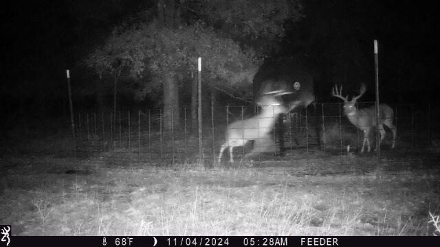 Tbt Fm 175 Jacksboro TX 76458