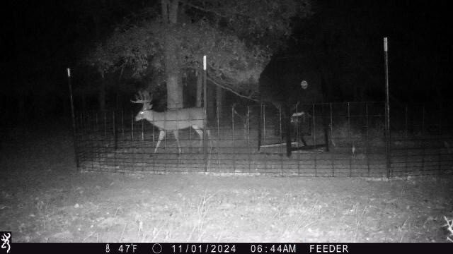 Tbt Fm 175 Jacksboro TX 76458