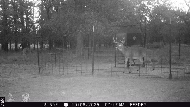 Tbt Fm 175 Jacksboro TX 76458