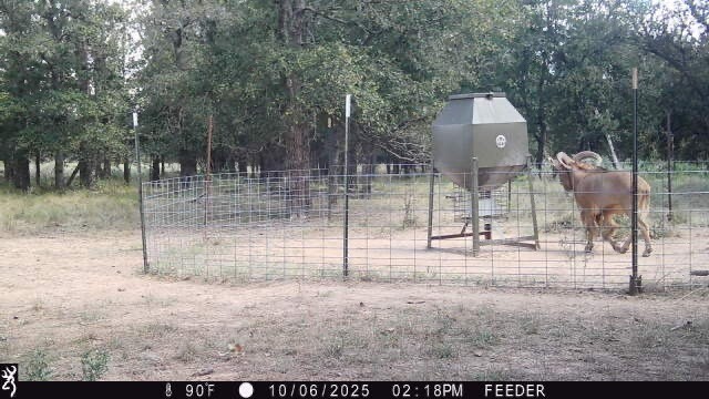Tbt Fm 175 Jacksboro TX 76458