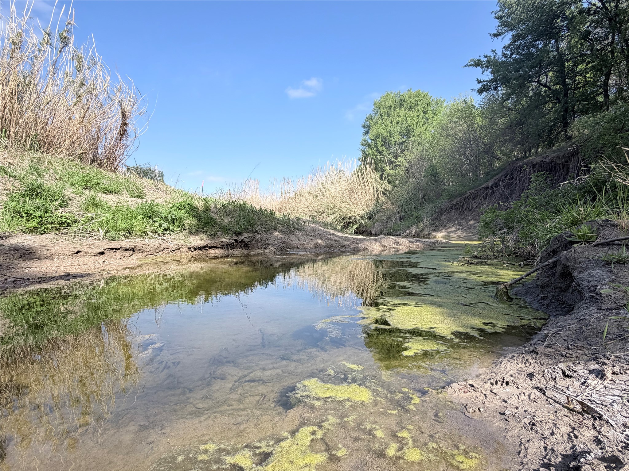 Tbd County Road 3204 Abbott TX 76621