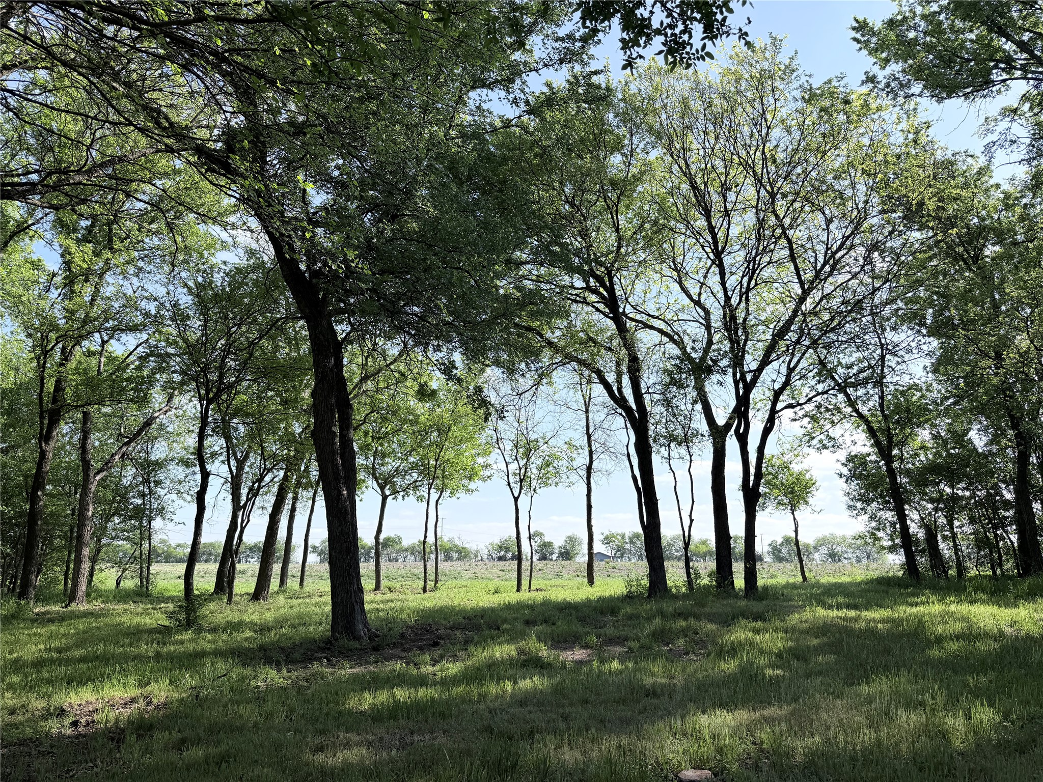 Tbd County Road 3204 Abbott TX 76621