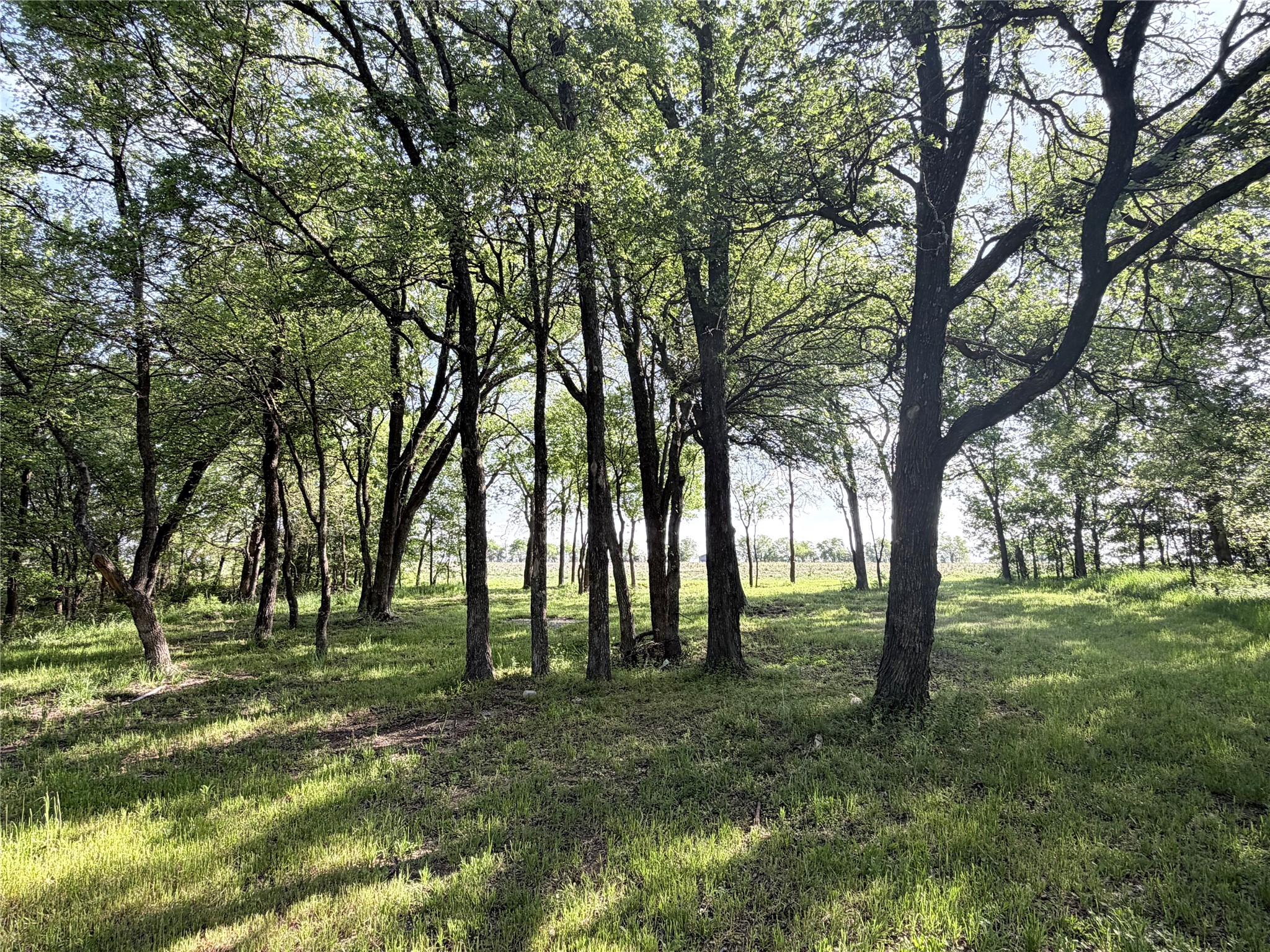 Tbd County Road 3204 Abbott TX 76621