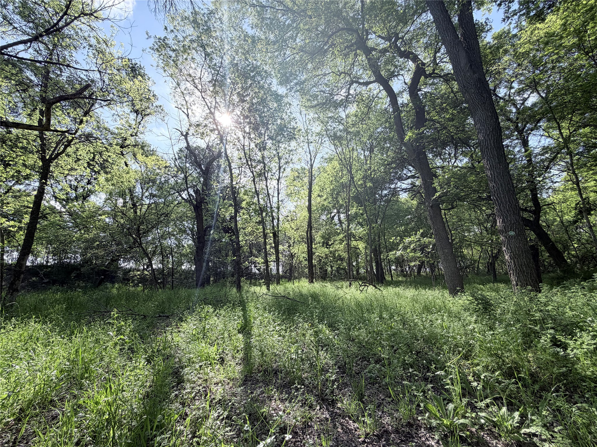 Tbd County Road 3204 Abbott TX 76621