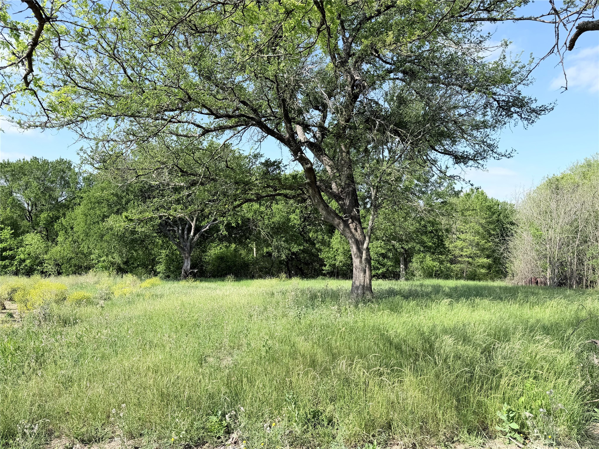 Tbd County Road 3204 Abbott TX 76621