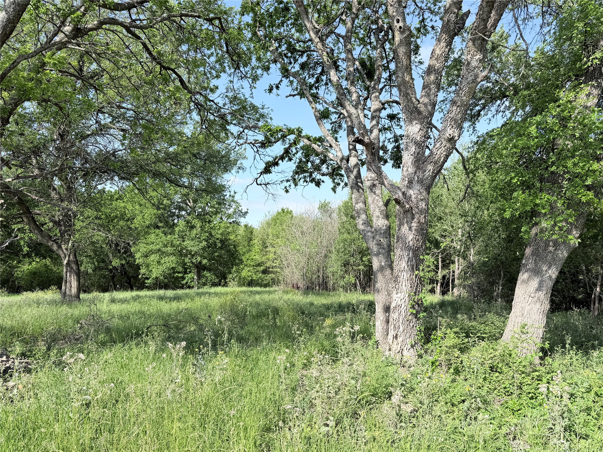 Tbd County Road 3204 Abbott TX 76621