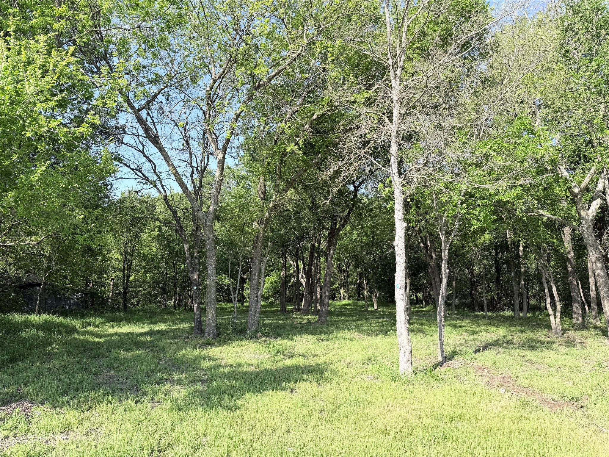 Tbd County Road 3204 Abbott TX 76621