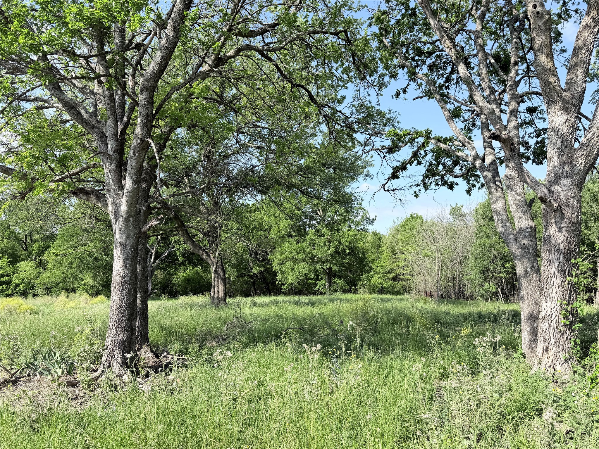 Tbd County Road 3204 Abbott TX 76621