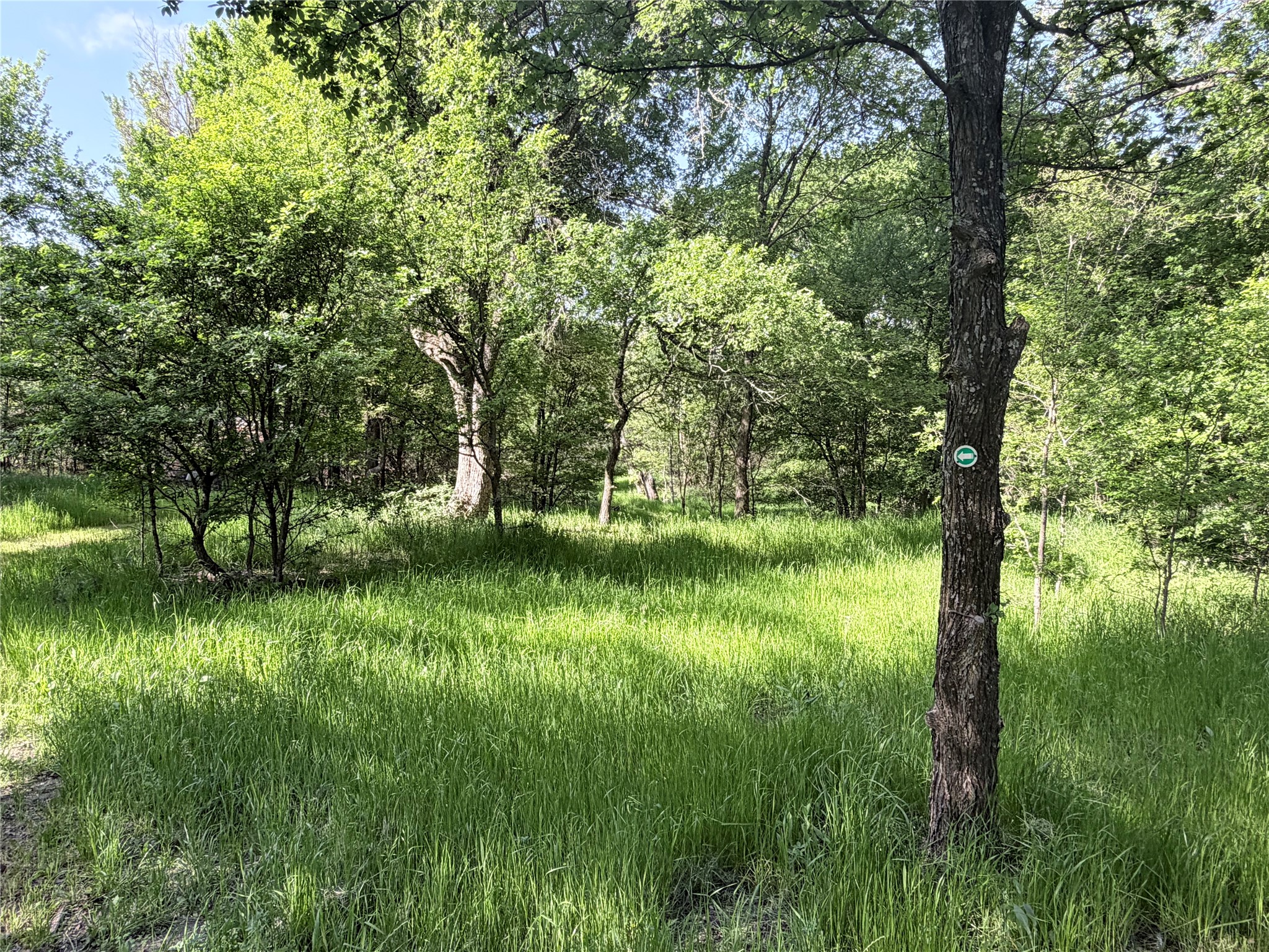 Tbd County Road 3204 Abbott TX 76621