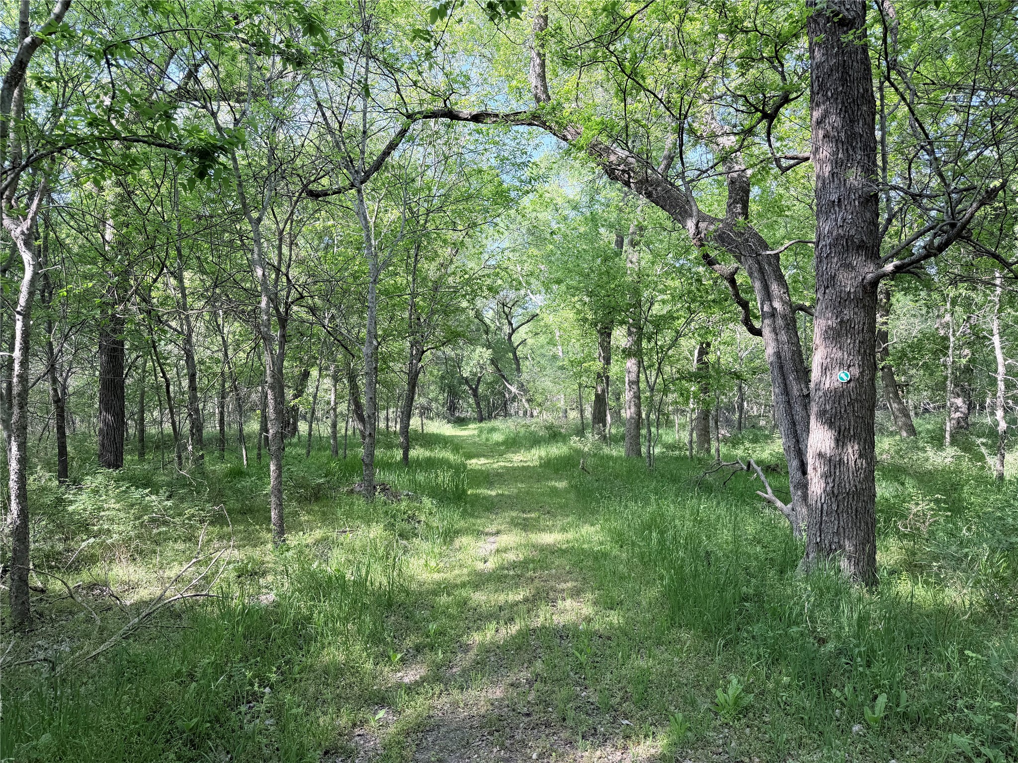 Tbd County Road 3204 Abbott TX 76621