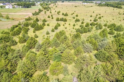 Tbd County Road 1061 Greenville TX 75401