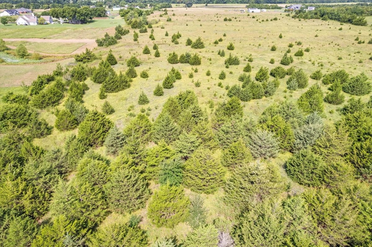 Tbd County Road 1061 Greenville TX 75401