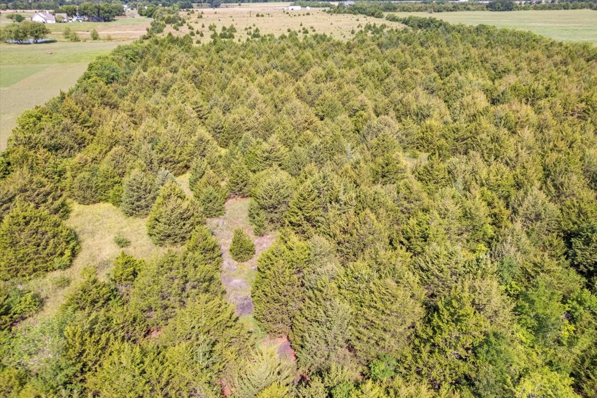 Tbd County Road 1061 Greenville TX 75401