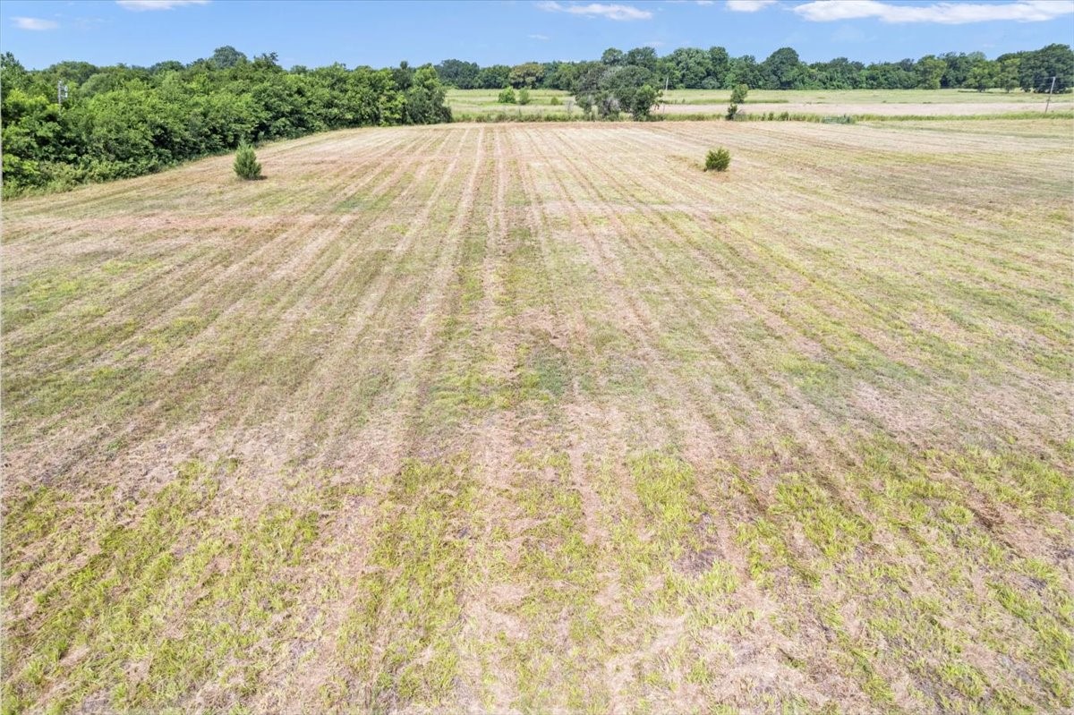 Tbd County Road 1061 Greenville TX 75401