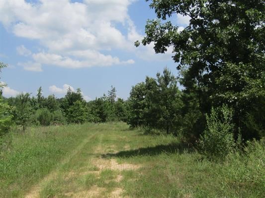 000 Farm To Market 114 Avery TX 75554