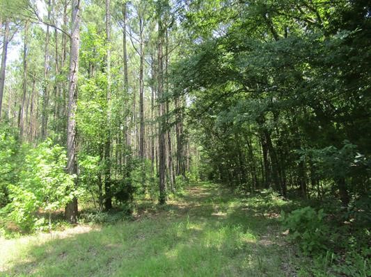 000 Farm To Market 114 Avery TX 75554