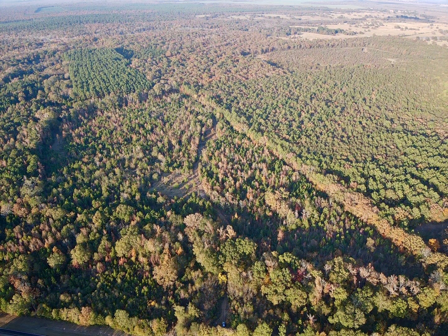 000 Farm To Market 114 Avery TX 75554