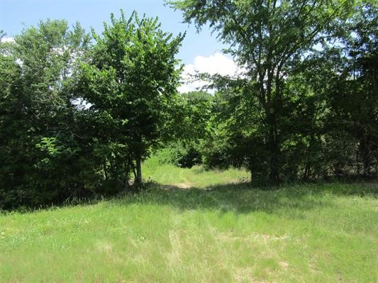 000 Farm To Market 114 Avery TX 75554