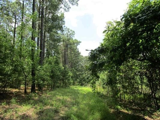 000 Farm To Market 114 Avery TX 75554