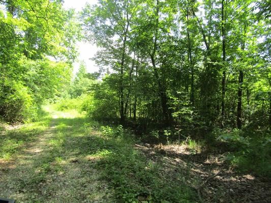 000 Farm To Market 114 Avery TX 75554