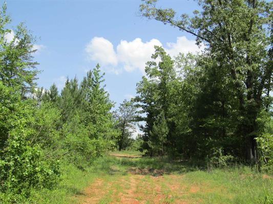 000 Farm To Market 114 Avery TX 75554