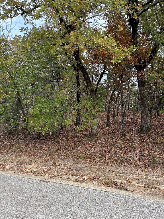 489 Pedernales Athens TX 75752