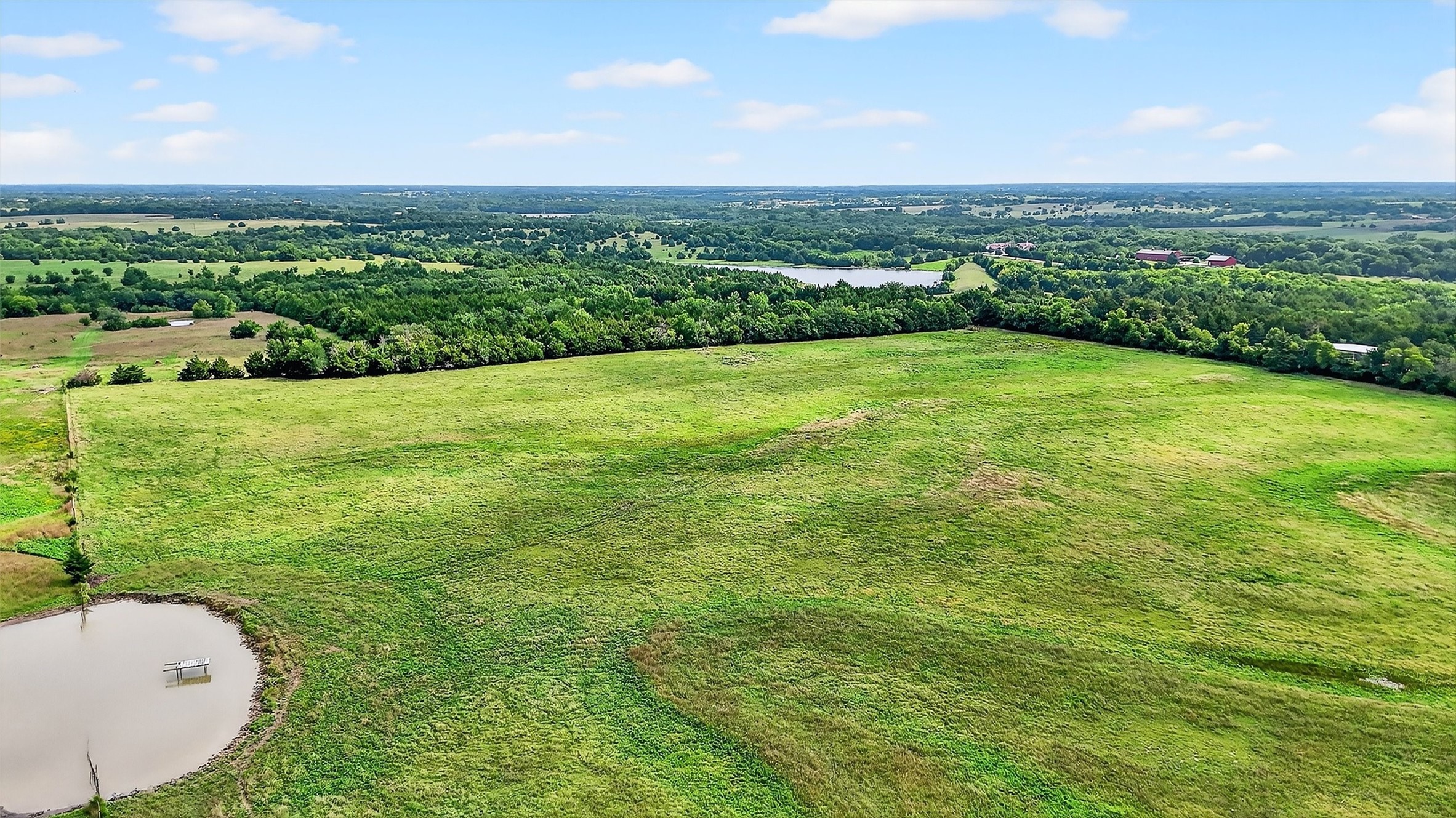31.83 Ac Fm 981 Blue Ridge TX 75424