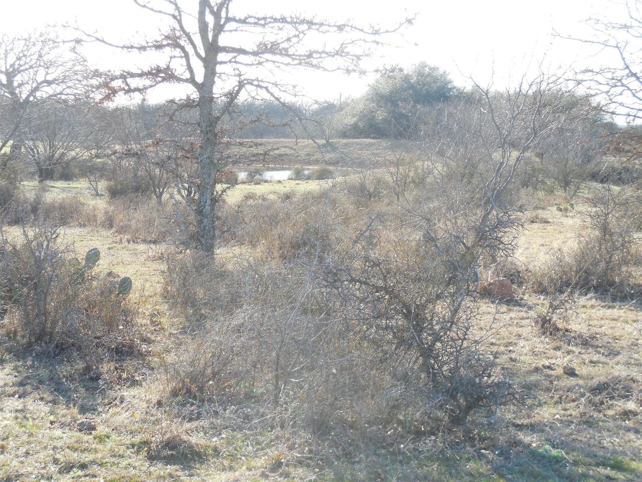 12436 County Road 134 Ranger TX 76470