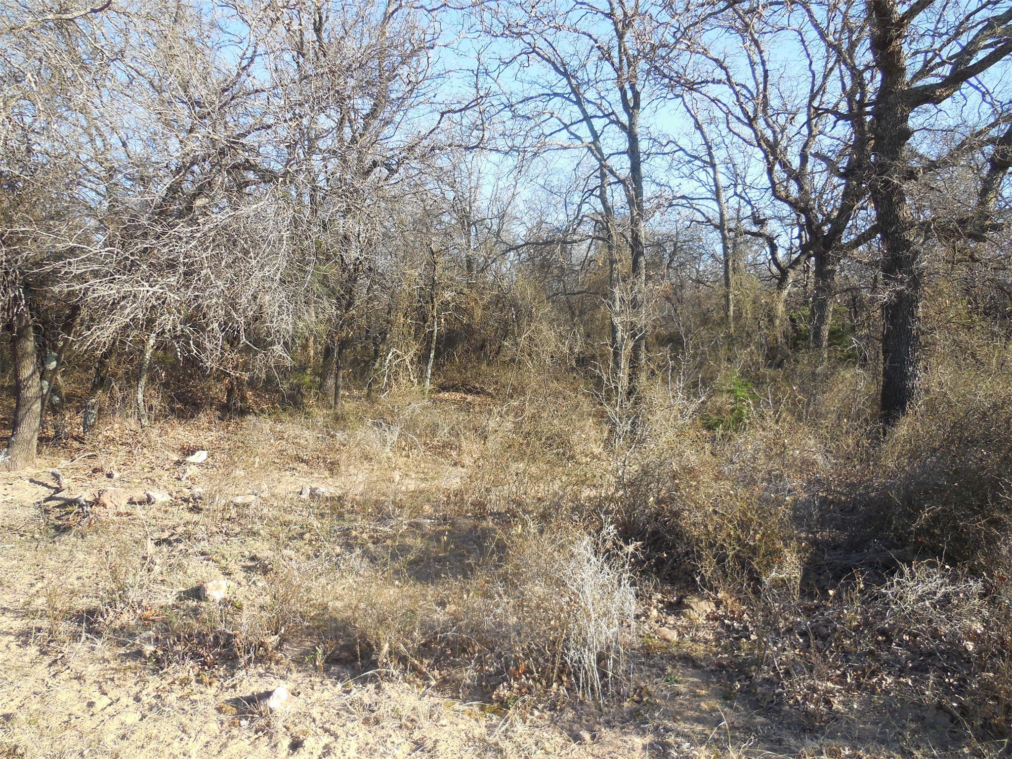 12436 County Road 134 Ranger TX 76470