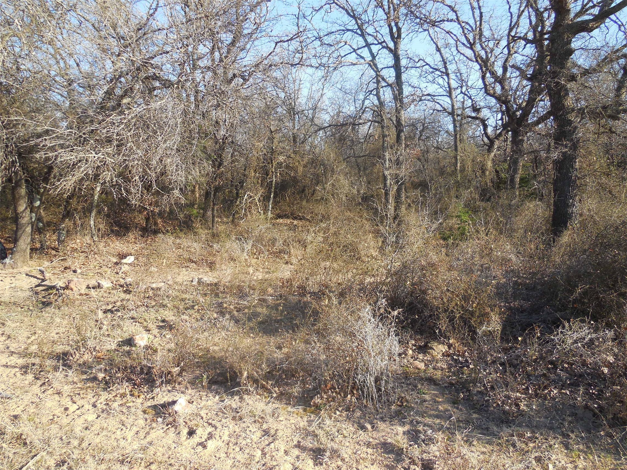 12436 County Road 134 Ranger TX 76470