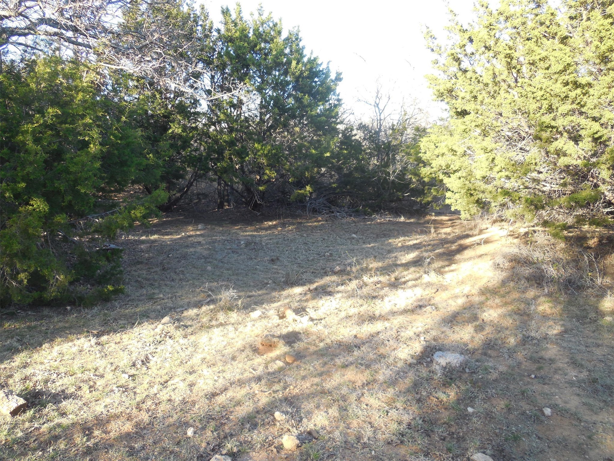 12436 County Road 134 Ranger TX 76470
