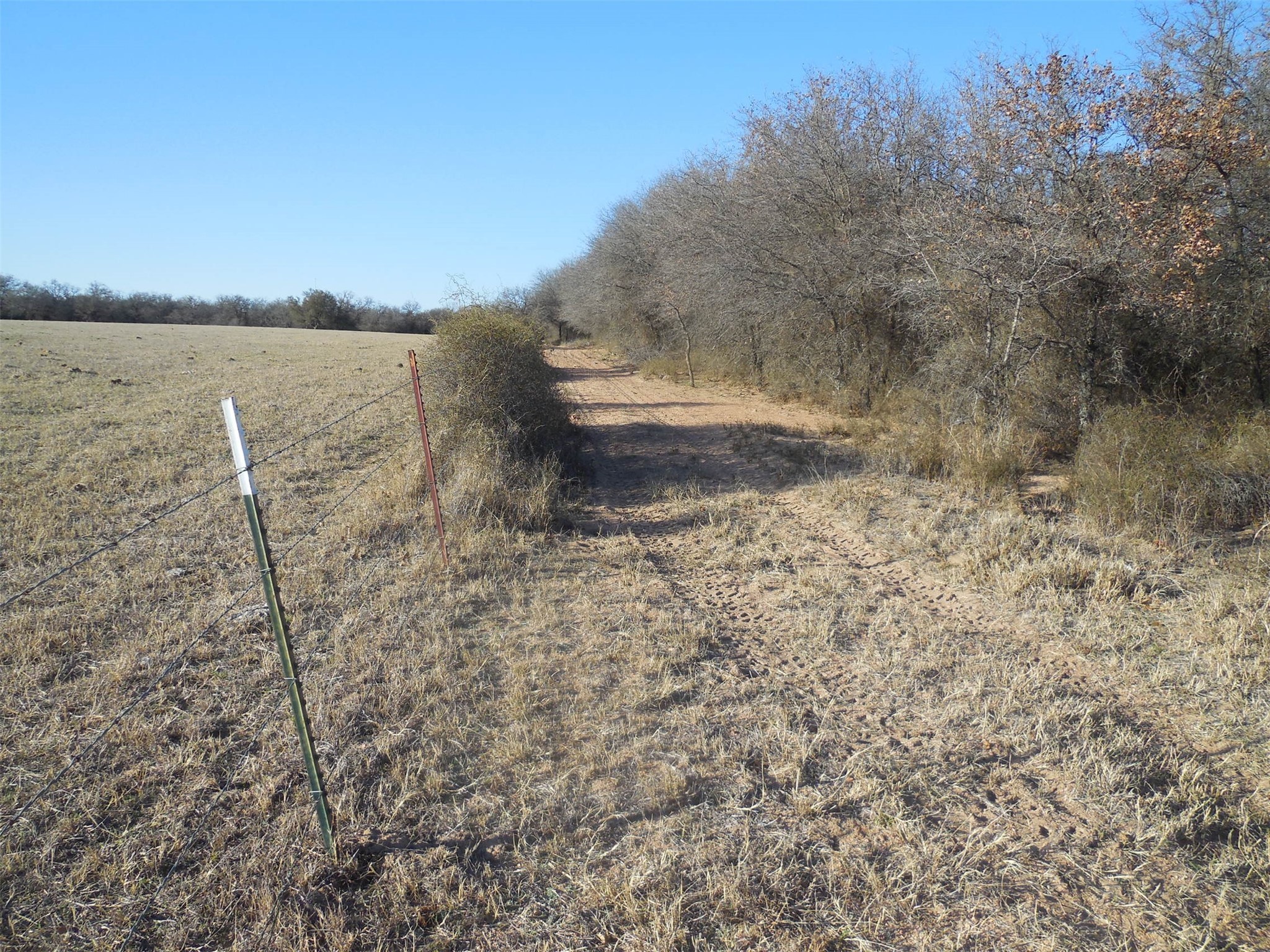 12436 County Road 134 Ranger TX 76470