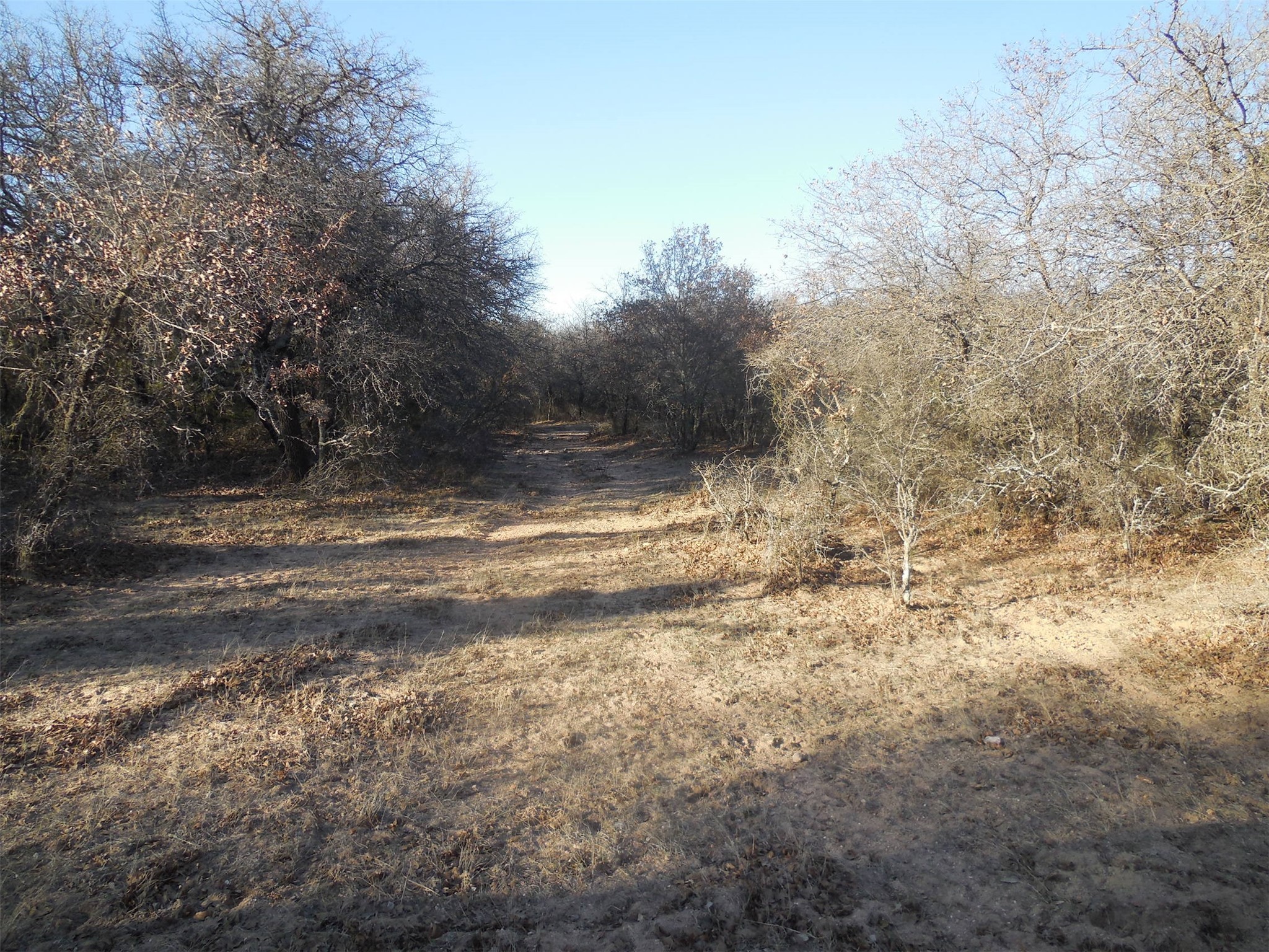 12436 County Road 134 Ranger TX 76470