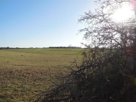 12436 County Road 134 Ranger TX 76470