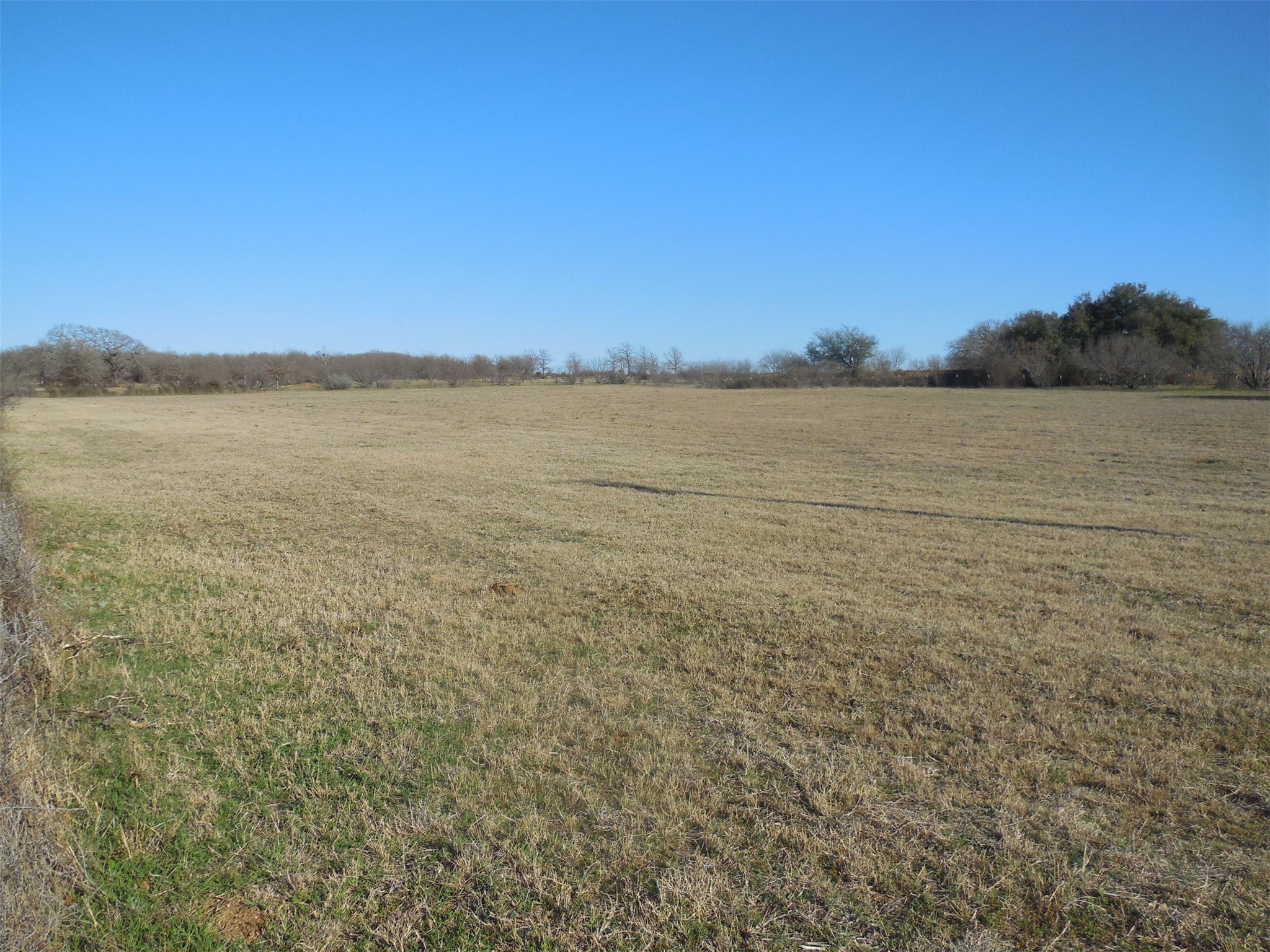 12436 County Road 134 Ranger TX 76470