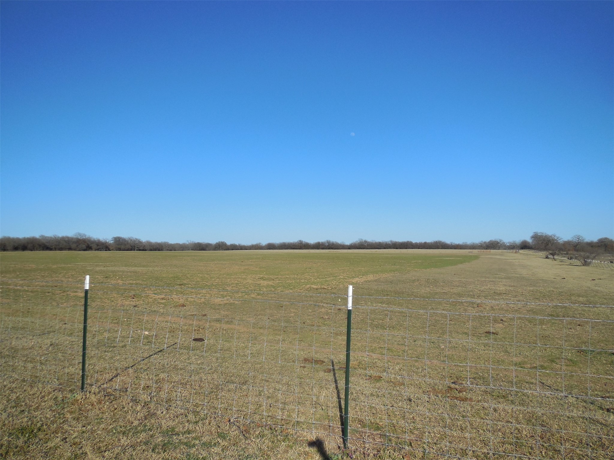 12436 County Road 134 Ranger TX 76470