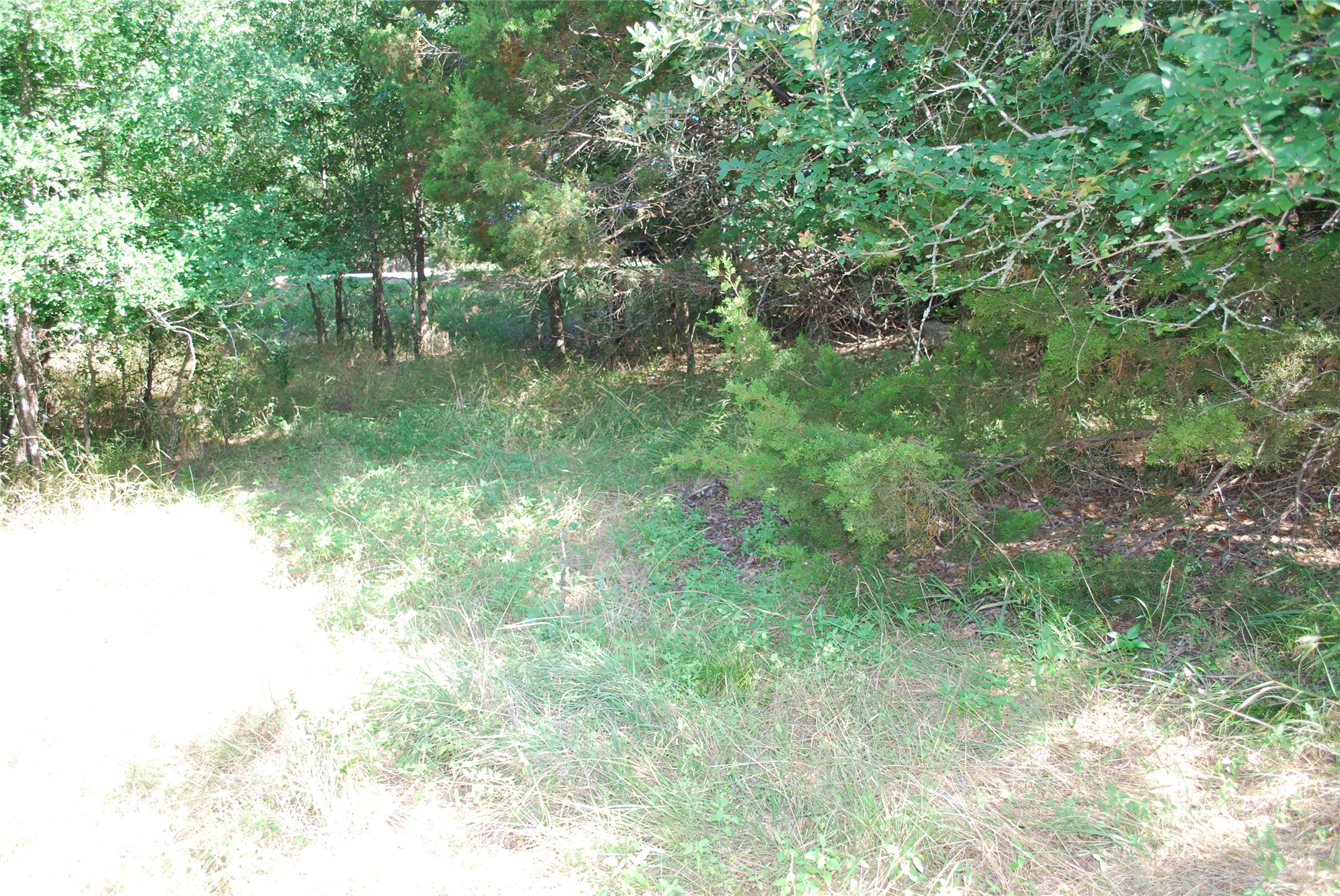 1306 Overlook Drive Whitney TX 76692